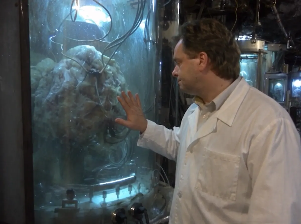 A researcher places his hand on a large glass tank holding a processor of living tissue